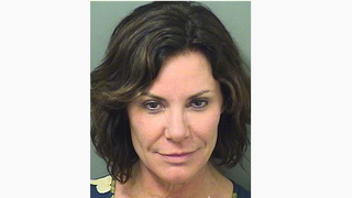 Real Housewife Luann de Lesseps Charged With 4 Felonies<em></em>